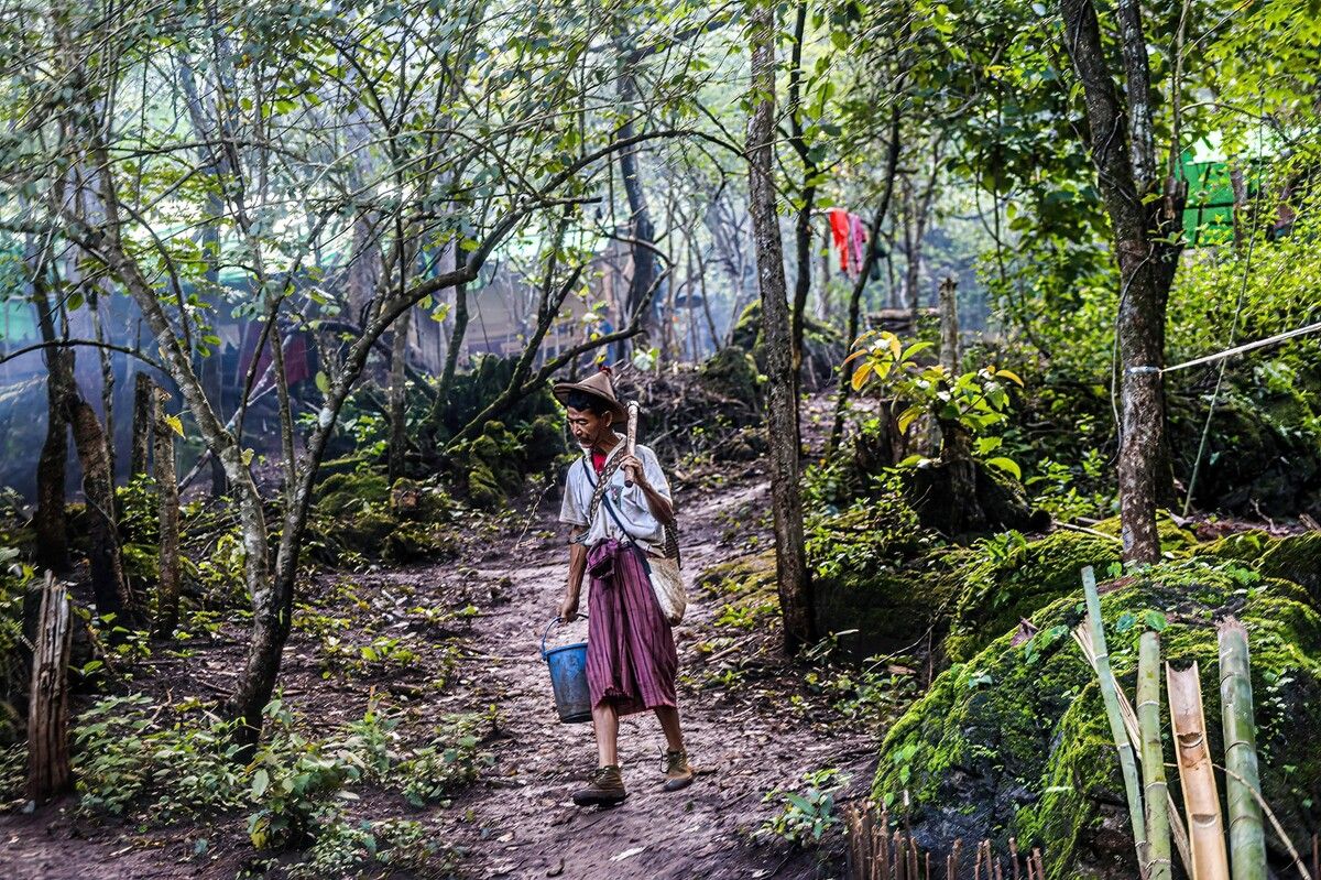 Krvavé dřevo od vojenské junty. Západní firmy kupovaly teak z Myanmaru sankcím navzdory